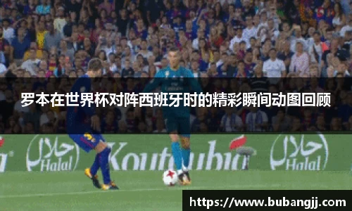 罗本在世界杯对阵西班牙时的精彩瞬间动图回顾