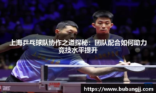 上海乒乓球队协作之道探秘：团队配合如何助力竞技水平提升
